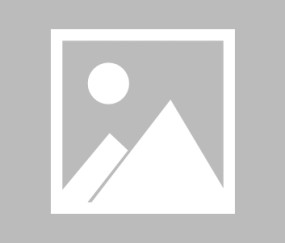 AYX SPORTS-Scout重返赛场，表现优异首场状态出色，公牛观众沸腾！赢得满堂喝彩