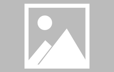 AYX SPORTS-Scout重返赛场，表现优异首场状态出色，公牛观众沸腾！赢得满堂喝彩